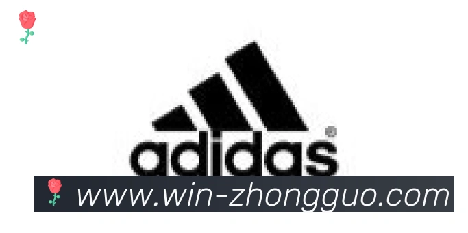 中国体彩网合作伙伴